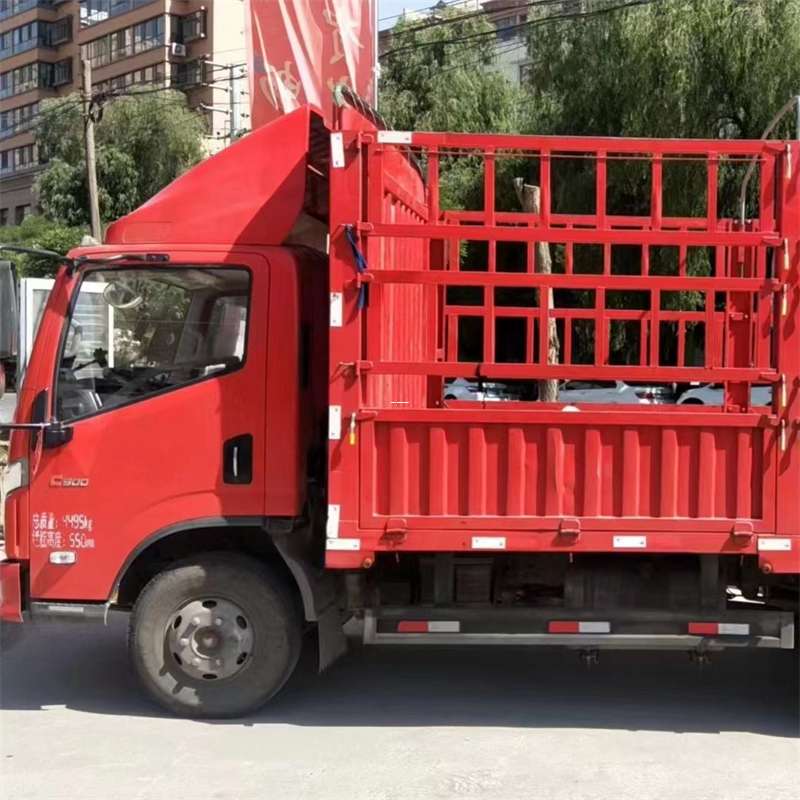 罗湖区物流：多元运输服务与线路探秘