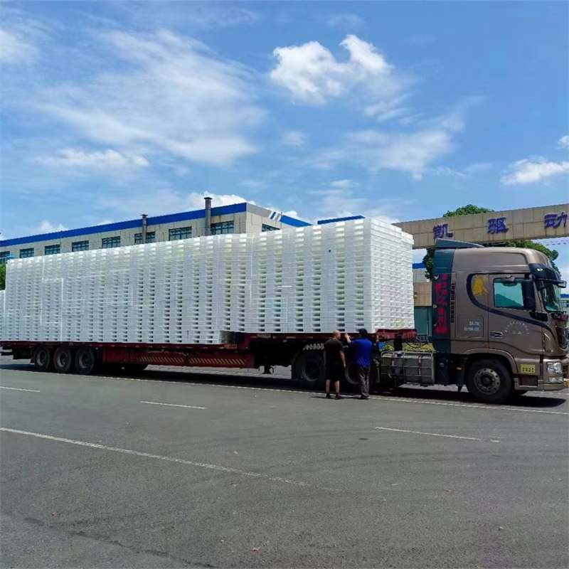 黄埔区物流：多元服务与高效运输线路探秘
