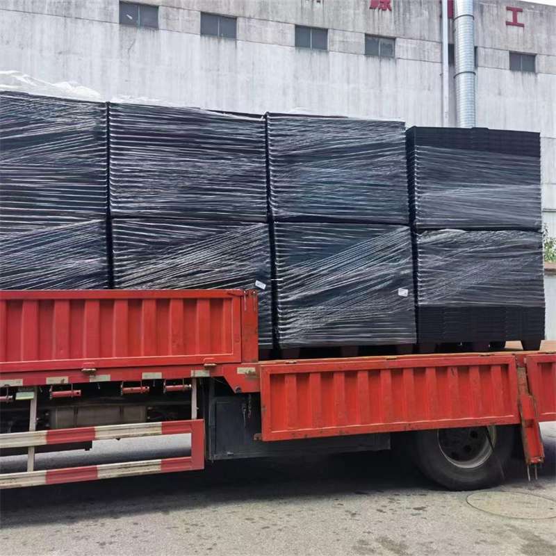 洞头区物流：多元服务与高效运输之道