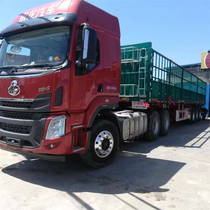 西秀区物流：多元专线运输的奥秘与实践